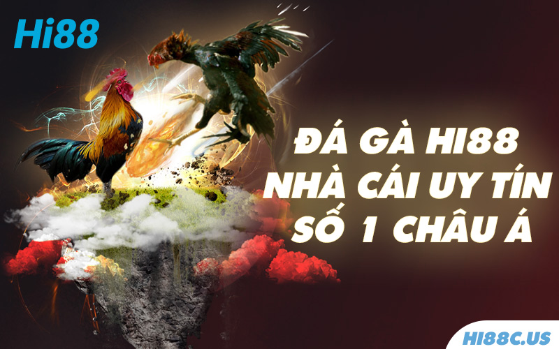 Trò chơi Đá Gà tại Hi88