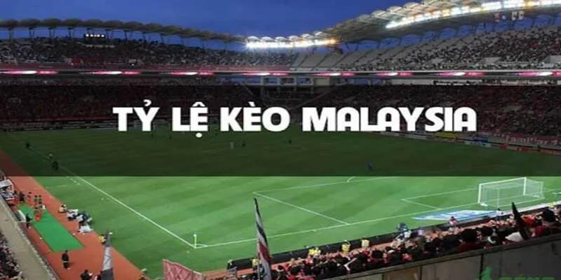 Tỷ Lệ Kèo Malaysia: Mẹo Giúp Bạn Cược Thắng Dễ Dàng Tại Hi88 4 Những kinh nghiệm "vàng" từ nhà cái