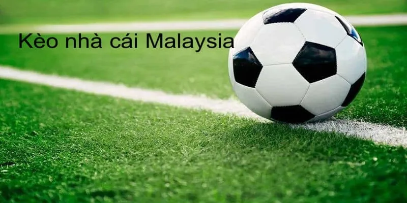 Tỷ Lệ Kèo Malaysia: Mẹo Giúp Bạn Cược Thắng Dễ Dàng Tại Hi88 2 Đôi nét cần biết về tỷ lệ kèo Malaysia
