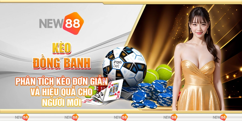 8 keo dong banh phan tich keo don gian va hieu qua cho nguoi moi